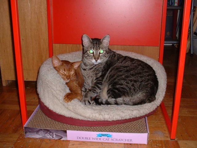 faustsnugglingwithdeimos.jpg
