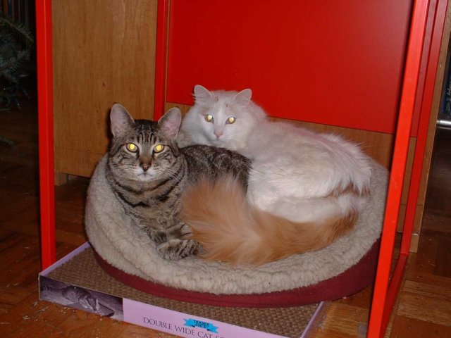 faustsnugglingwithluci.jpg