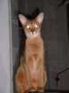 phobosposing_small.jpg